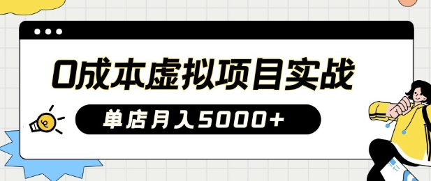 0成本虚拟项目实战手把手教你落地，单店月入5k-随风资源网