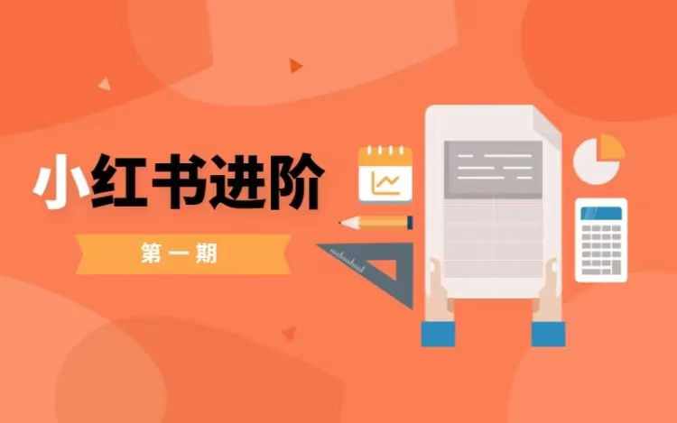 小红书进阶篇，零基础小白实战课，普通人变现的课程-随风资源网