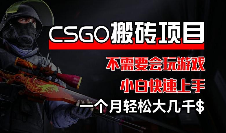 CSGO 装备搬砖项目，操作简单，不需要会玩游戏，小白也能快速上手，一个月轻松大几千【揭秘】-随风资源网