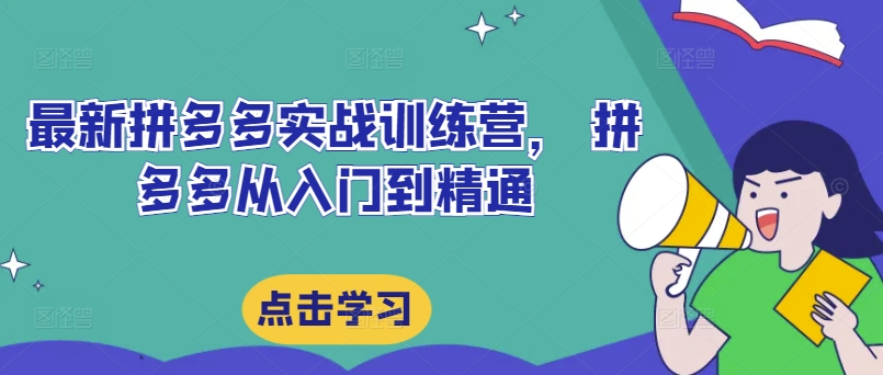 最新拼多多实战训练营， 拼多多从入门到精通-随风资源网
