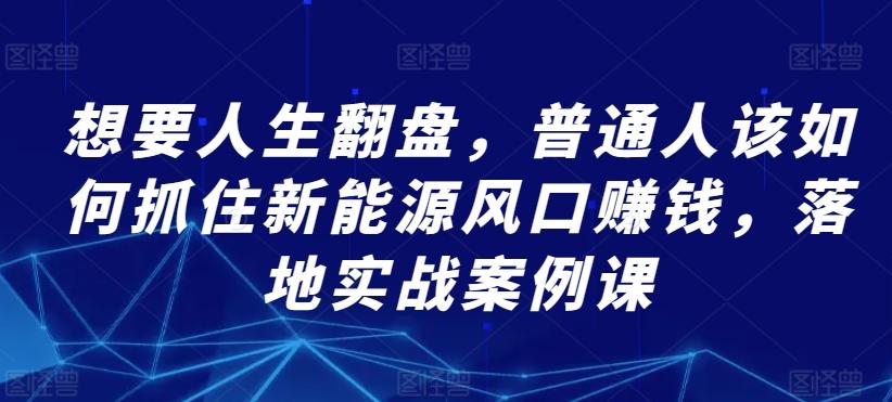 想要人生翻盘，普通人该如何抓住新能源风口赚钱，落地实战案例课-随风资源网