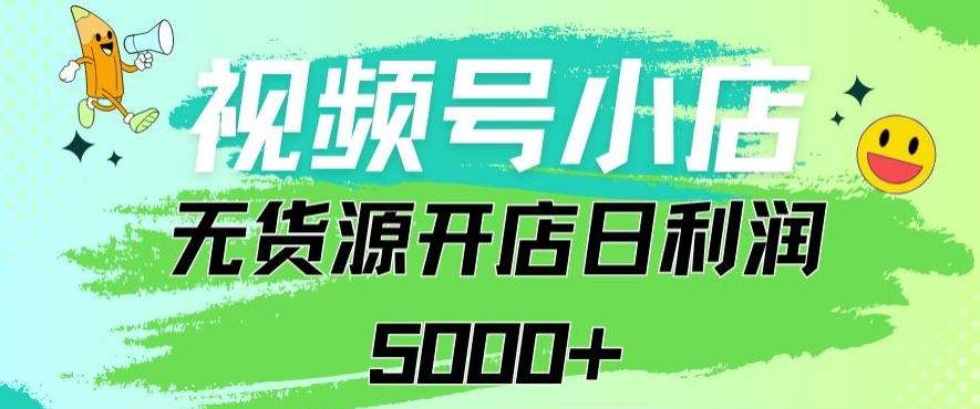 视频号无货源小店从0到1日订单量千单以上纯利润稳稳5000+【揭秘】-随风资源网