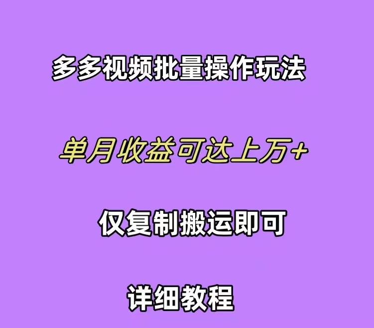 (10029期)拼多多视频带货快速过爆款选品教程 每天轻轻松松赚取三位数佣金 小白必…-随风资源网