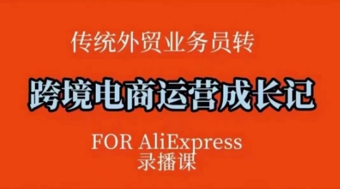 跨境电商速卖通运营课，​运营方法论+后台实操，逻辑清晰-随风资源网