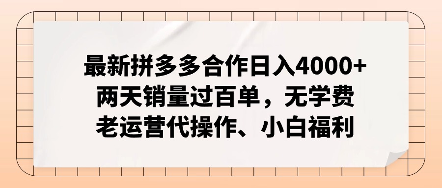 拼多多最新合作日入4000+两天销量过百单，无学费、老运营代操作、小白福利-随风资源网