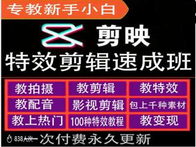 剪映特效教程和运营变现教程，特效剪辑速成班，专教新手小白-随风资源网