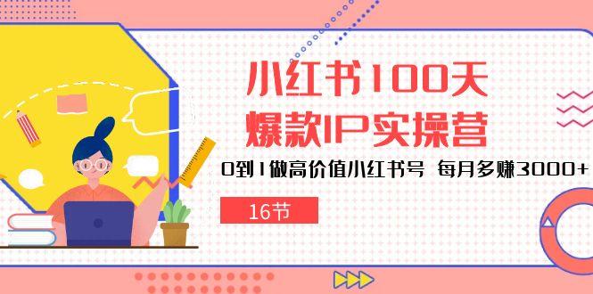 小红书100天-爆款IP实操营，0到1做高价值小红书号 每月多赚3000+(16节-随风资源网