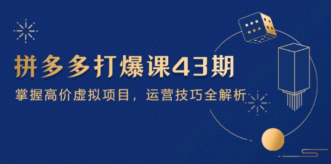 拼多多打爆课第 43 期，掌握高价虚拟项目，运营技巧全解析(15节-随风资源网
