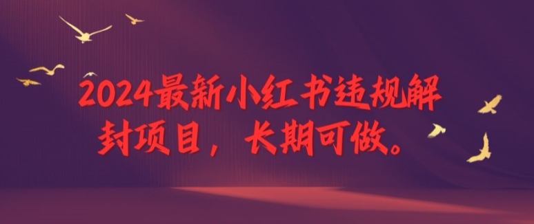 2024最新小红书违规解封项目，长期可做，一个可以做到退休的项目【揭秘】-随风资源网