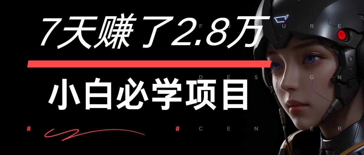7天赚了2.8万！每单利润最少500+，轻松月入7万+小白有手就行-随风资源网