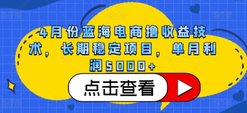 4月份蓝海电商撸收益技术，长期稳定项目，单月利润5000+【揭秘】-随风资源网