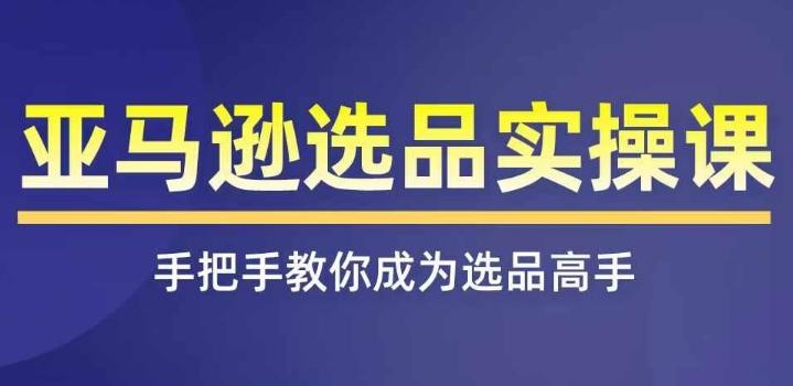 亚马逊选品实操课程，快速掌握亚马逊选品的技巧，覆盖亚马逊选品所有渠道-随风资源网