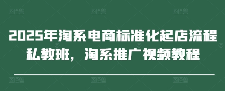 2025年淘系电商标准化起店流程私教班，淘系推广视频教程-随风资源网