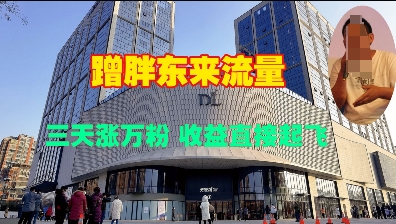 蹭胖东来流量，三天涨万粉，收益直接起飞-随风资源网