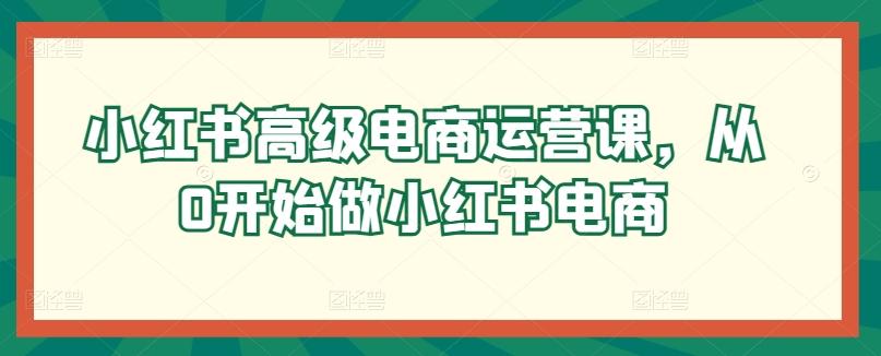 小红书高级电商运营课，从0开始做小红书电商-随风资源网