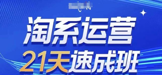 淘系运营21天速成班(更新24年6月)，0基础轻松搞定淘系运营，不做假把式-随风资源网