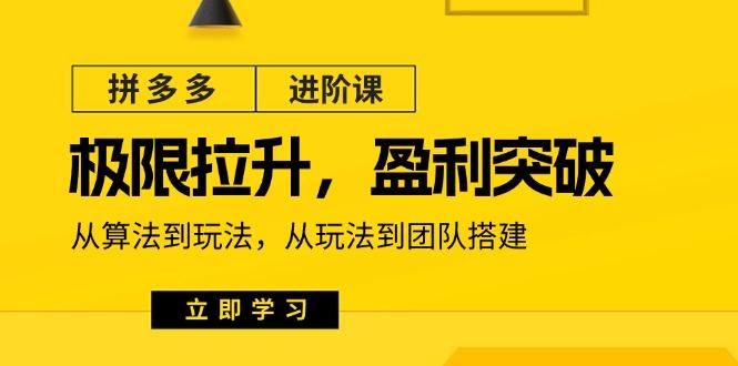 拼多多·进阶课：极限拉升/盈利突破：从算法到玩法 从玩法到团队搭建-18节-随风资源网