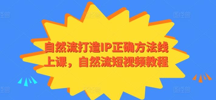 自然流打造IP正确方法线上课，自然流短视频教程-随风资源网