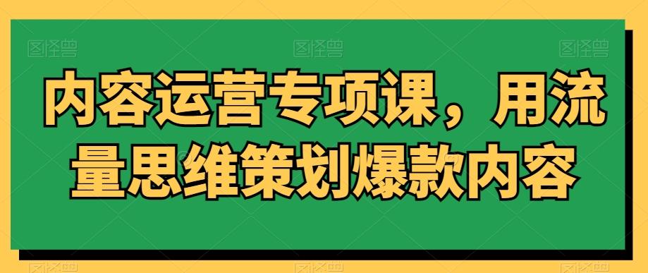 内容运营专项课，用流量思维策划爆款内容-随风资源网