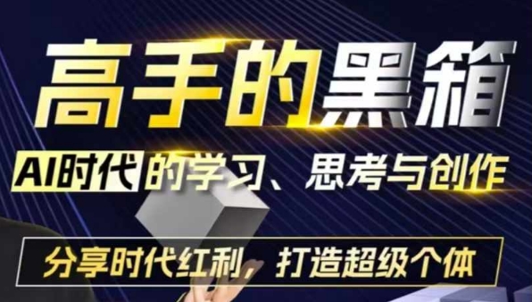 高手的黑箱：AI时代学习、思考与创作-分红时代红利，打造超级个体-随风资源网