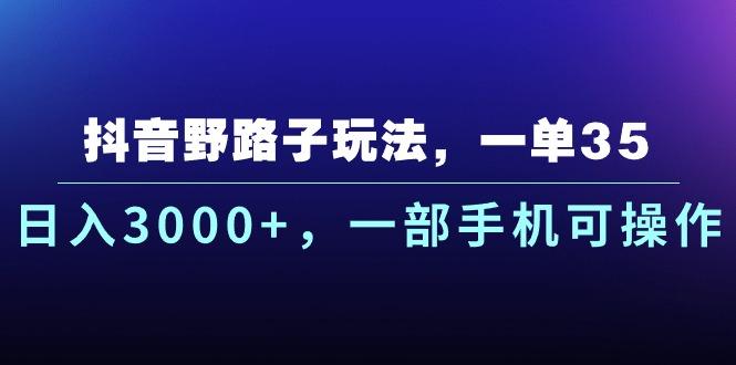 抖音野路子玩法，一单35.日入3000+，一部手机可操作-随风资源网
