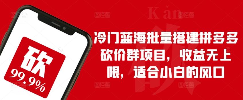 冷门蓝海批量搭建拼多多砍价群项目，收益无上限，适合小白的风口【揭秘】-随风资源网