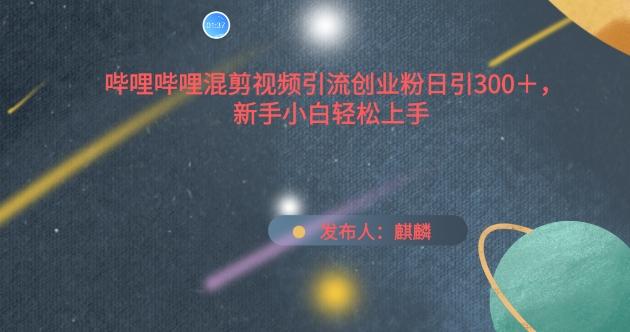 哔哩哔哩混剪视频引流创业粉日引300+，新手小白轻松上手【揭秘】-随风资源网