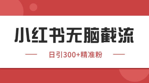 小红书只要你有同行就能获客，独家野路子获客玩法，暴力截流【揭秘】-随风资源网