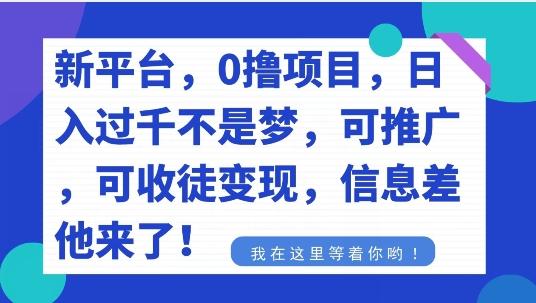 不要再花冤枉钱了，0撸项目，每天坚持，稳定1000+-随风资源网