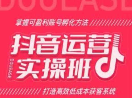抖音运营实操班，掌握可盈利账号孵化方法，打造高效低成本获客系统-随风资源网