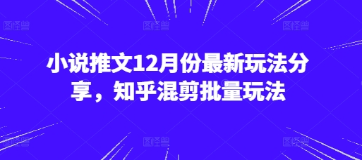 小说推文12月份最新玩法分享，知乎混剪批量玩法-随风资源网