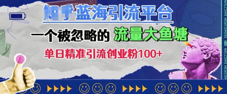 豆瓣蓝海引流平台，一个被忽略的流量大鱼塘，单日精准引流创业粉100+-随风资源网