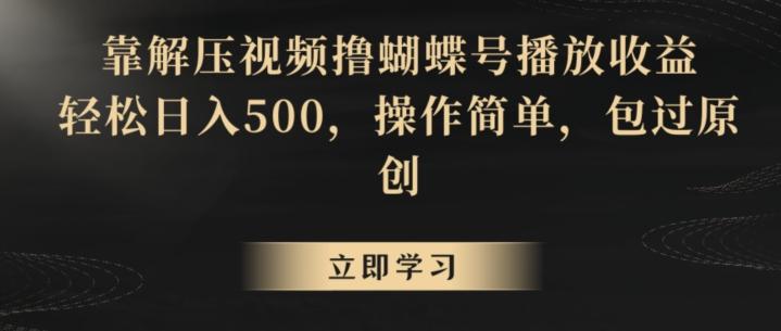 靠解压视频撸蝴蝶号播放收益，轻松日入500，操作简单，包过原创【揭秘】-随风资源网