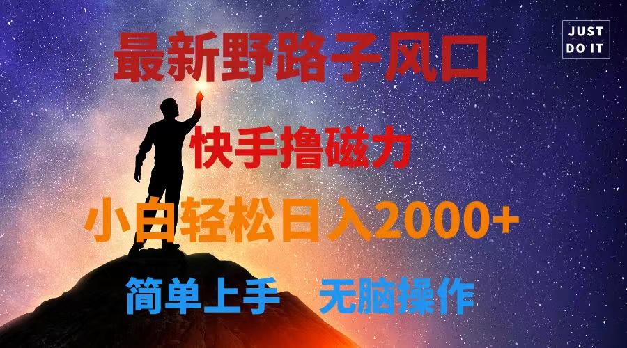 最新风口！快手撸磁力，野路子，小白无脑操作日入2000+-随风资源网