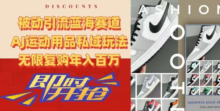 被动引流蓝海赛道，AJ运动用品私域玩法，无限复购年入百万【揭秘】-随风资源网