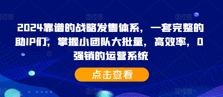 2024靠谱的战略发售体系，一套完整的助IP们，掌握小团队大批量，高效率，0 强销的运营系统-随风资源网