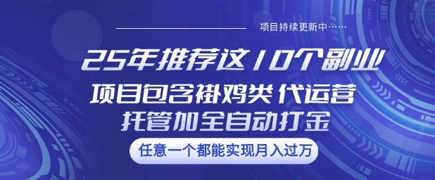 25年推荐这10个副业项目包含褂鸡类、代运营托管类、全自动打金类【揭秘】-随风资源网