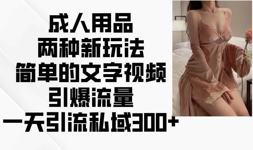 成人用品两种新玩法，简单的文字视频引爆流量，一天引流私域300+-随风资源网