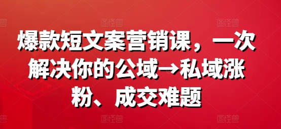 爆款短文案营销课，一次解决你的公域→私域涨粉、成交难题-随风资源网