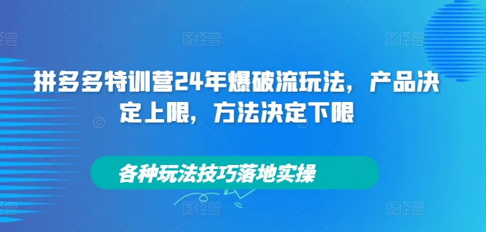 拼多多特训营24年爆破流玩法，产品决定上限，方法决定下限，各种玩法技巧落地实操-随风资源网