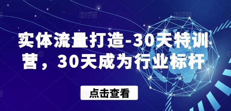 实体流量打造-30天特训营，30天成为行业标杆-随风资源网