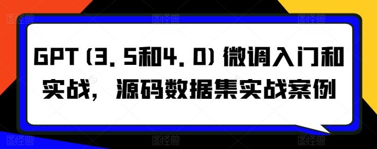 GPT(3.5和4.0)微调入门和实战，源码数据集实战案例-随风资源网