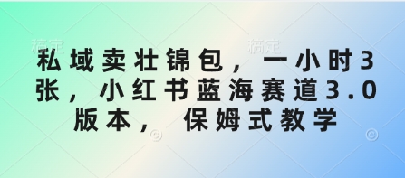 私域卖壮锦包，一小时3张，小红书蓝海赛道3.0版本， 保姆式教学-随风资源网
