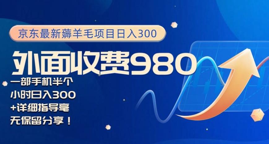 京东最新薅羊毛项目小白怎么做到日入300+一部手机半小时搞定-随风资源网