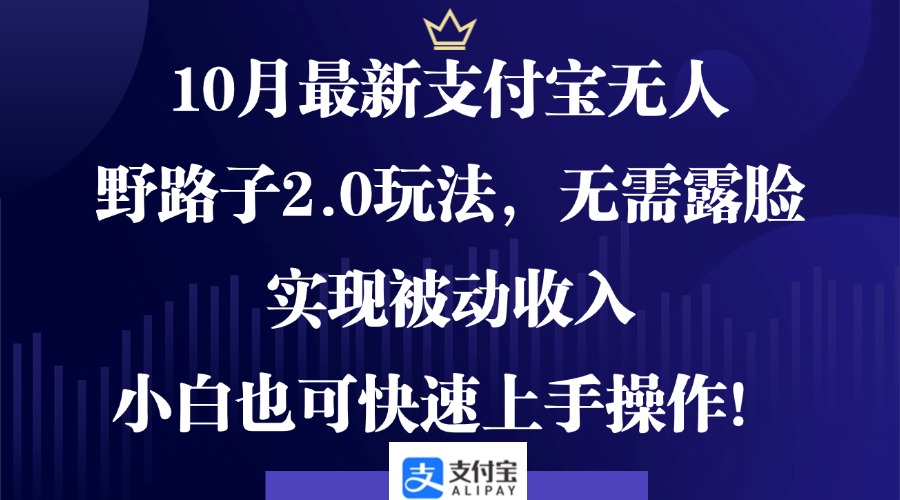 10月最新支付宝无人野路子2.0玩法，无需露脸，实现被动收入，小白也可…-随风资源网
