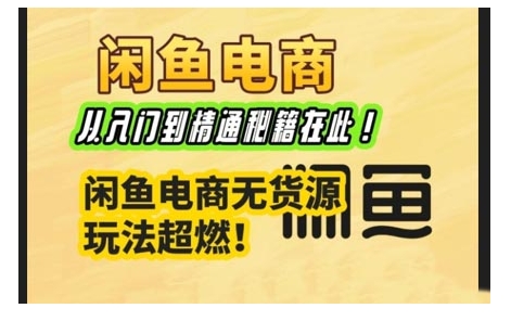 闲鱼电商实战课，从入门到精通秘籍在此，闲鱼电商无货源玩法超燃!-随风资源网