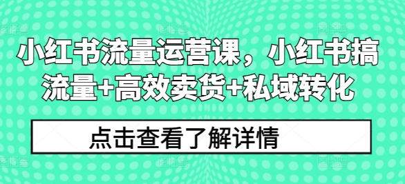 小红书流量运营课，小红书搞流量+高效卖货+私域转化-随风资源网