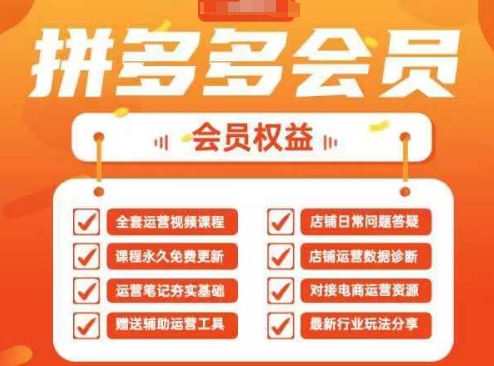2025拼多多运营实战课，40节全流程教学，覆盖拼多多运营全链路-随风资源网