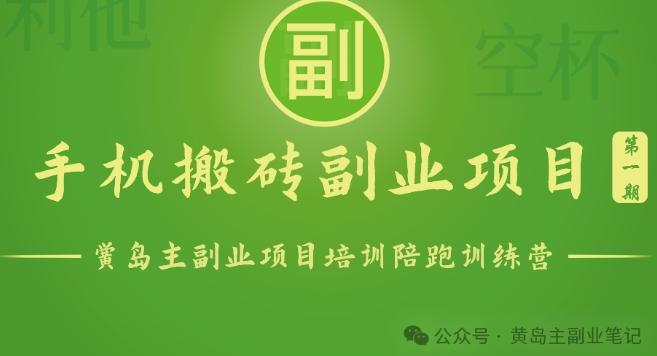 手机搬砖小副业项目训练营1.0，实测1小时收益50+，一部手机轻松日入100+-随风资源网