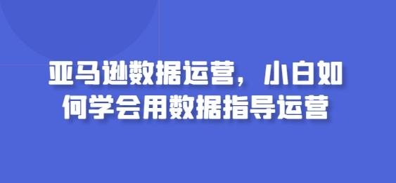 亚马逊数据运营，小白如何学会用数据指导运营-随风资源网